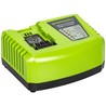 GREENWORKS PIKALATURI 40V